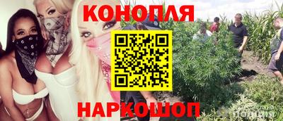 молекула духа Будённовск