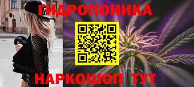 молекула духа Будённовск