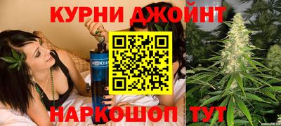 молекула духа Будённовск