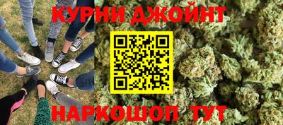 молекула духа Будённовск
