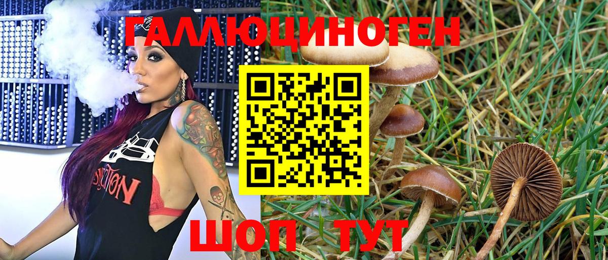 Улан-Удэ  Галлюциногенные грибы Magic Shrooms  Вход с VPN 