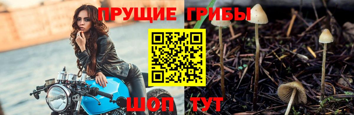 Галлюциногенные грибы Cubensis Улан-Удэ